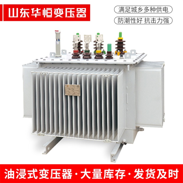 S13-10000/35墨竹工卡墨竹工卡墨竹工卡电力变压器