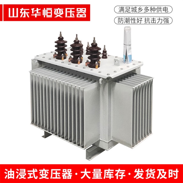 S13-10000/35墨竹工卡墨竹工卡墨竹工卡油浸式变压器厂家